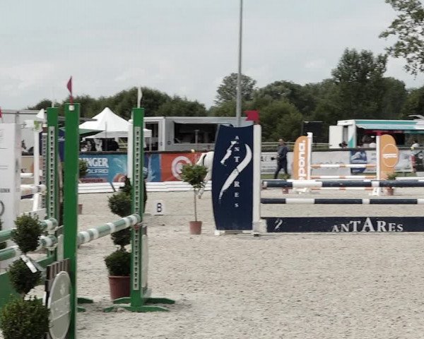 Concours Hippique de Dompierre 2021