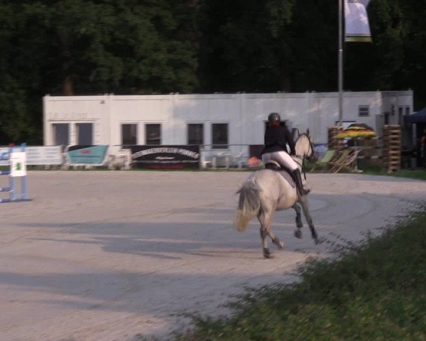 Springturnier Pietzpuhl 2021