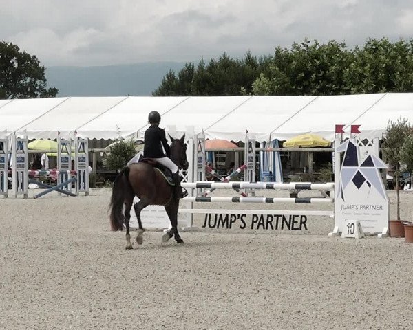 Concours Hippique de Dompierre 2021
