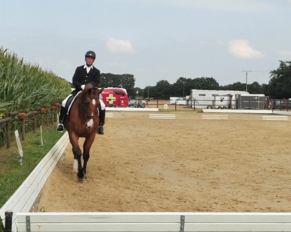 Sommerturnier Ostbevern 2021