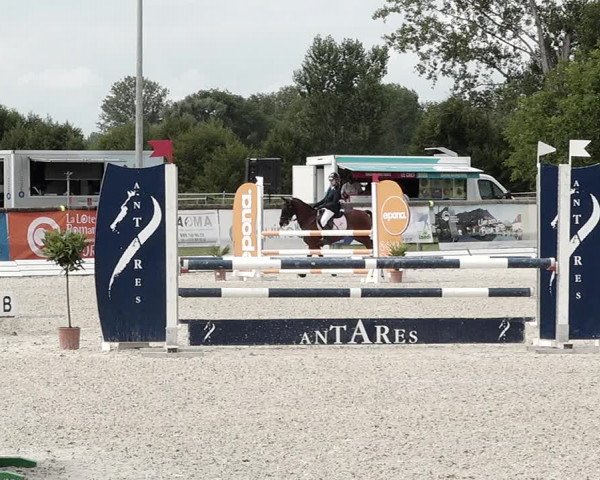 Concours Hippique de Dompierre 2021