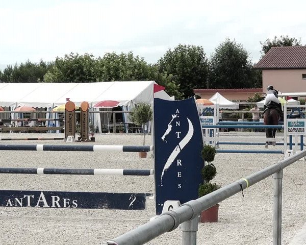 Concours Hippique de Dompierre 2021