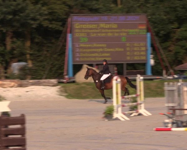 Springturnier Pietzpuhl 2021