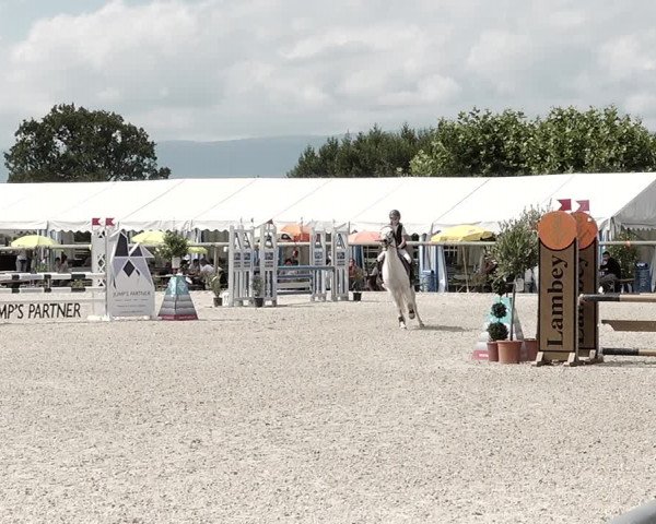 Concours Hippique de Dompierre 2021