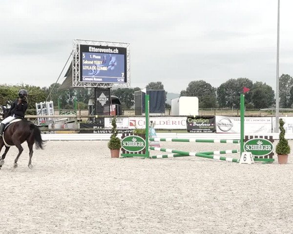 Concours Hippique de Dompierre 2021