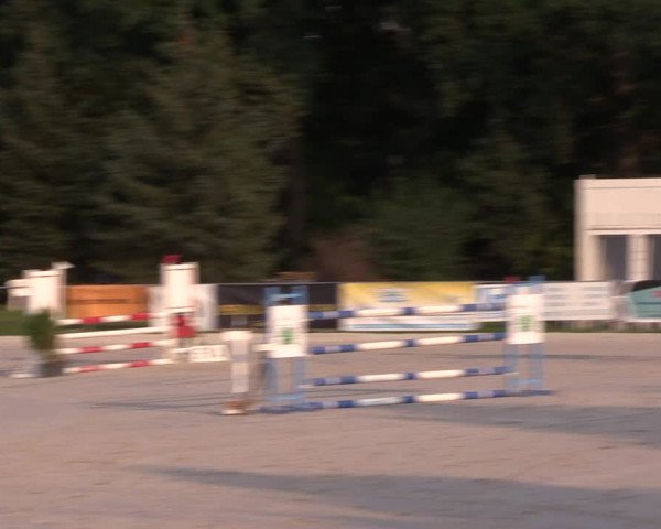 Springturnier Pietzpuhl 2021