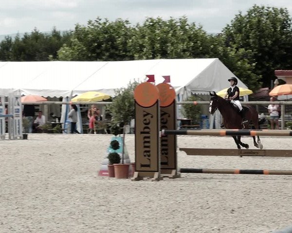 Concours Hippique de Dompierre 2021