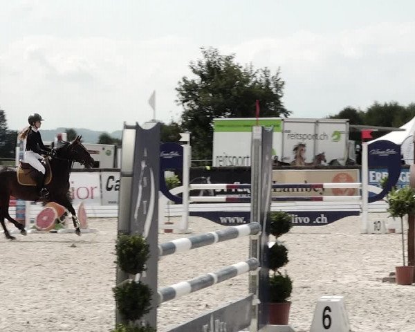 Concours Hippique de Dompierre 2021