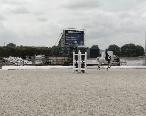 Concours Hippique de Dompierre 2021