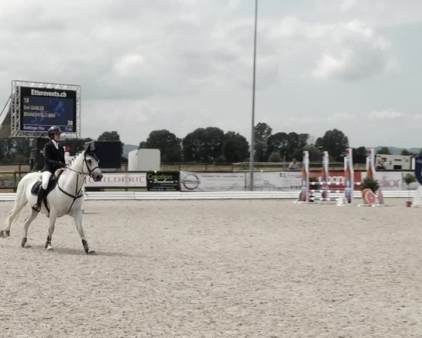 Concours Hippique de Dompierre 2021