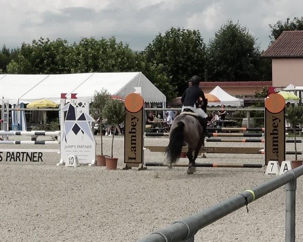 Concours Hippique de Dompierre 2021