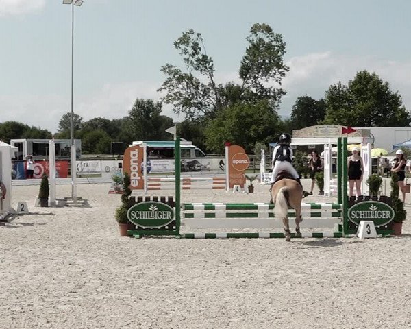 Concours Hippique de Dompierre 2021