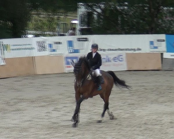 Reitturnier Monheim - Gut Blee 2021