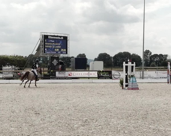 Concours Hippique de Dompierre 2021
