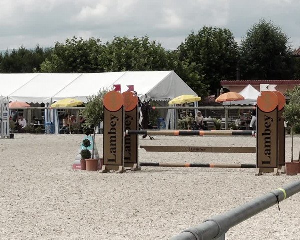 Concours Hippique de Dompierre 2021