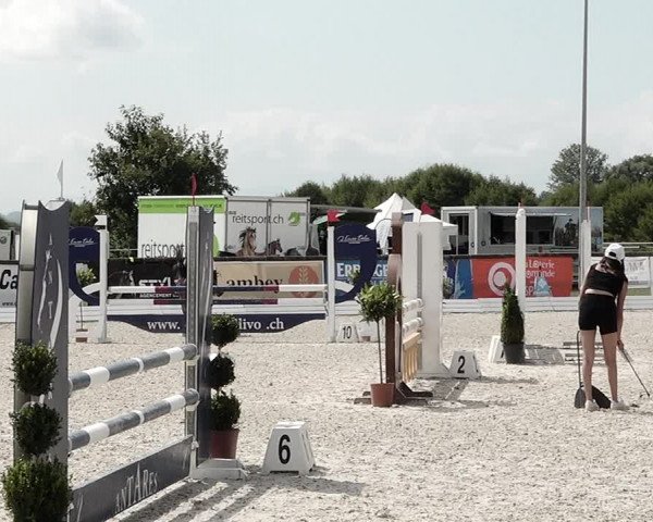 Concours Hippique de Dompierre 2021