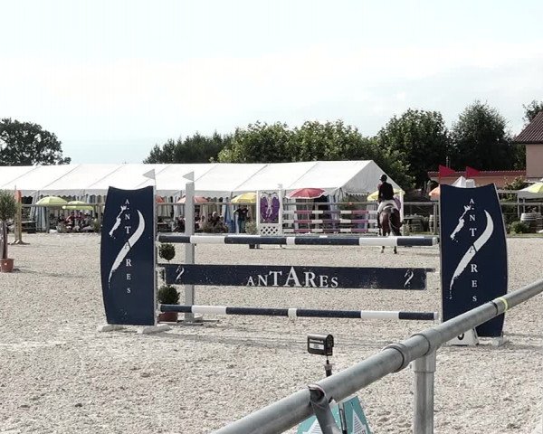 Concours Hippique de Dompierre 2021