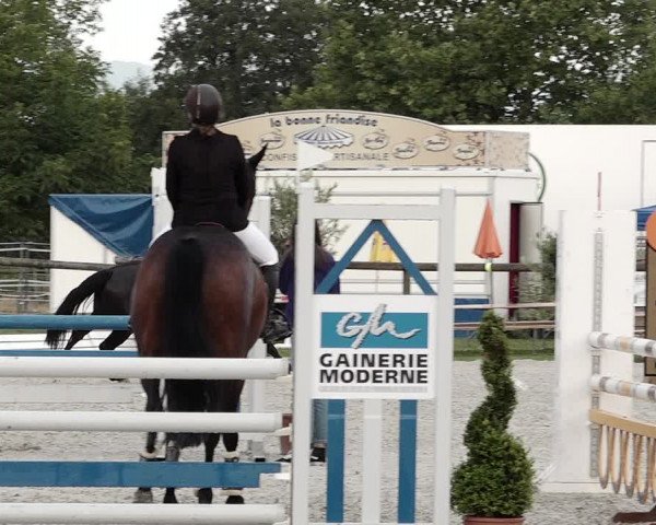 Concours Hippique de Dompierre 2021
