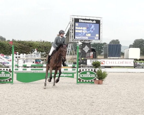 Concours Hippique de Dompierre 2021