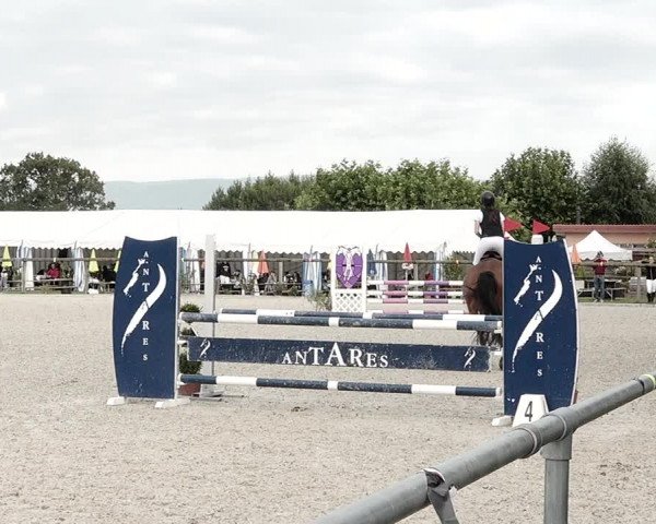 Concours Hippique de Dompierre 2021