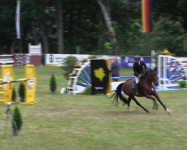 Reitturnier Lengenfeld/Vogtl. 2021