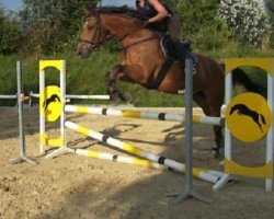 Springpferd Lontano (Oldenburger, 2006)