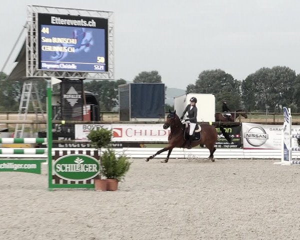 Concours Hippique de Dompierre 2021