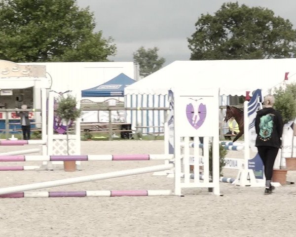 Concours Hippique de Dompierre 2021