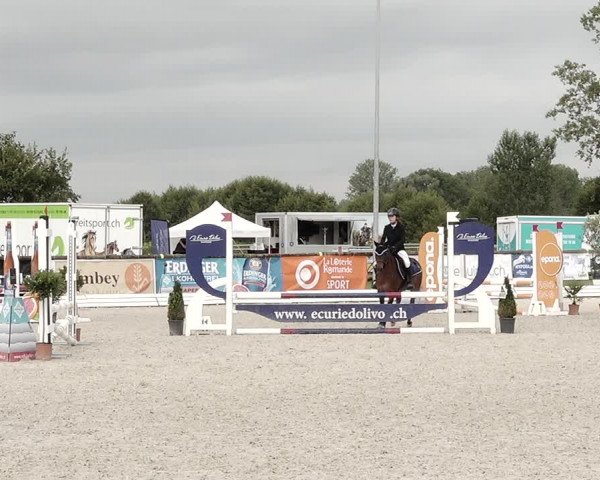 Concours Hippique de Dompierre 2021