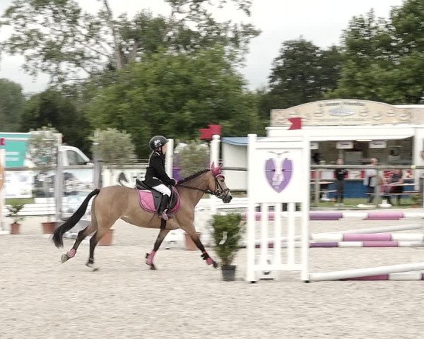 Concours Hippique de Dompierre 2021