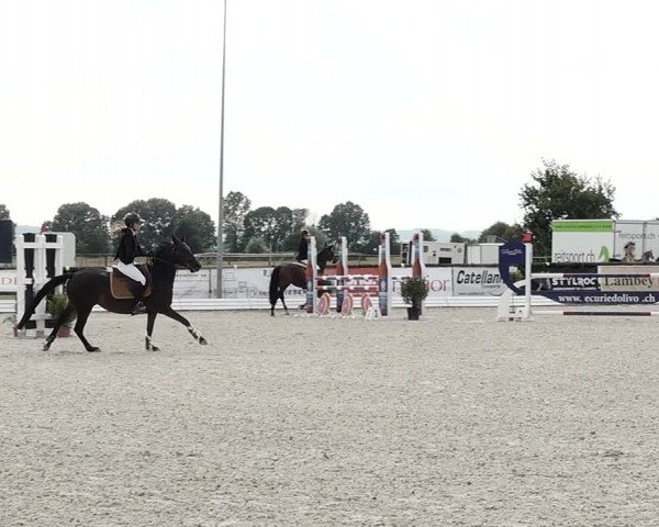 Concours Hippique de Dompierre 2021
