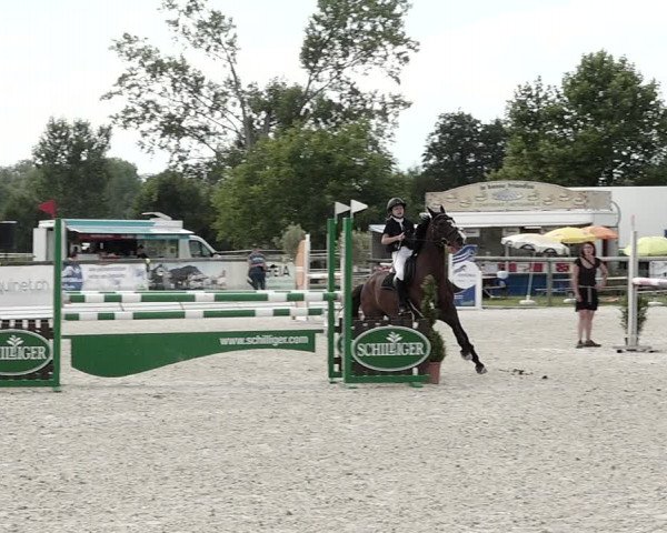 Concours Hippique de Dompierre 2021