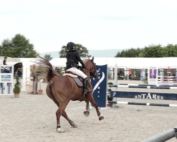 Concours Hippique de Dompierre 2021