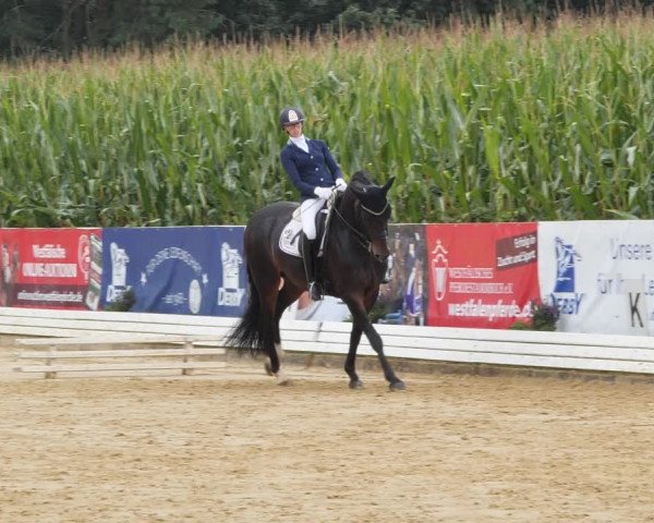 Sommerturnier Ostbevern 2021