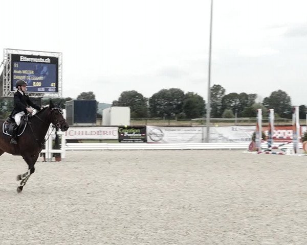 Concours Hippique de Dompierre 2021