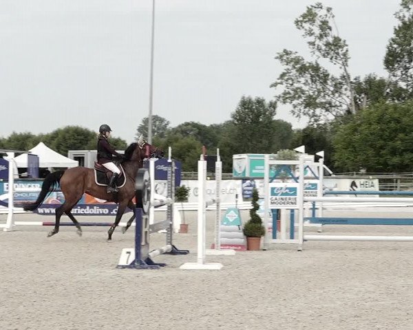 Concours Hippique de Dompierre 2021
