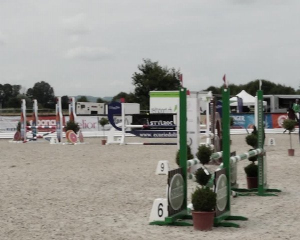 Concours Hippique de Dompierre 2021