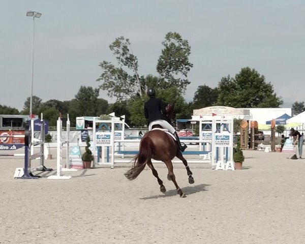 Concours Hippique de Dompierre 2021