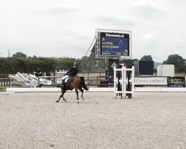 Concours Hippique de Dompierre 2021