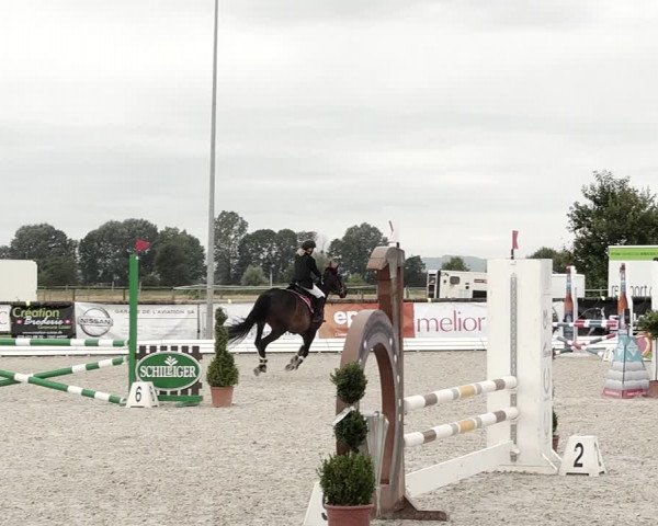 Concours Hippique de Dompierre 2021