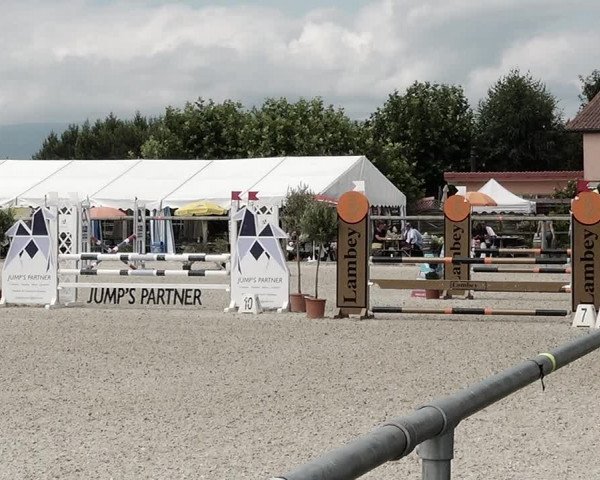 Concours Hippique de Dompierre 2021