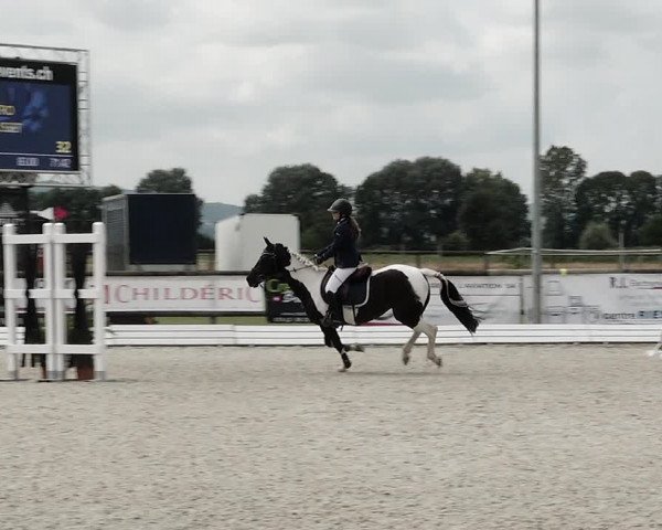 Concours Hippique de Dompierre 2021