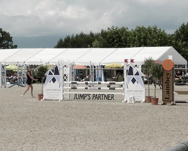 Concours Hippique de Dompierre 2021