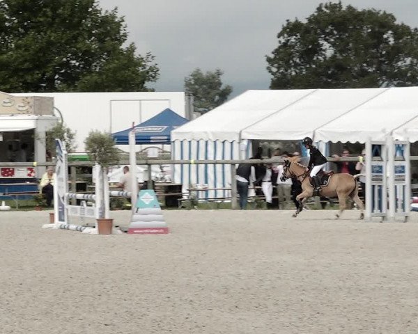 Concours Hippique de Dompierre 2021
