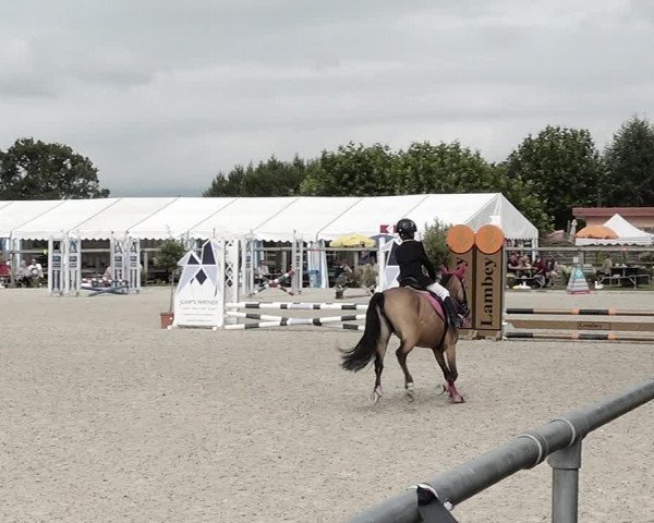 Concours Hippique de Dompierre 2021