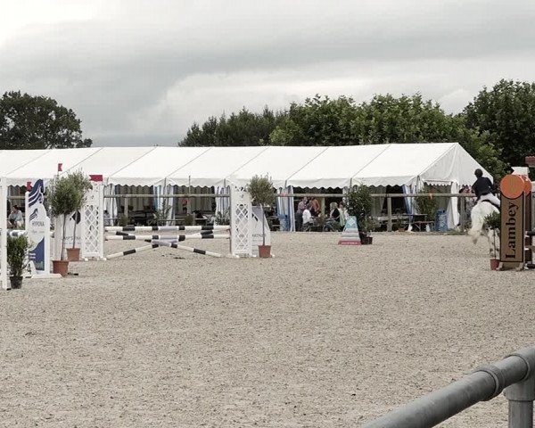 Concours Hippique de Dompierre 2021