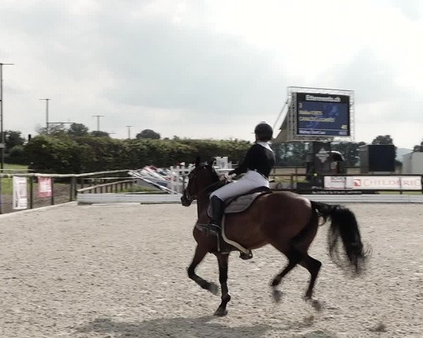 Concours Hippique de Dompierre 2021