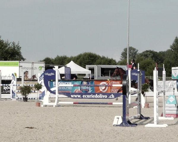 Concours Hippique de Dompierre 2021