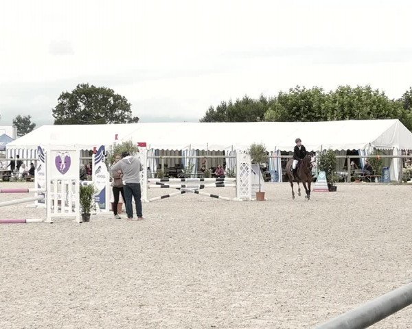 Concours Hippique de Dompierre 2021