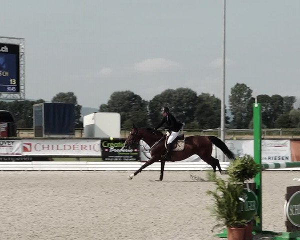 Concours Hippique de Dompierre 2021
